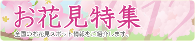 お花見・桜特集