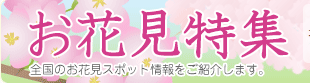 桜・お花見スポット特集